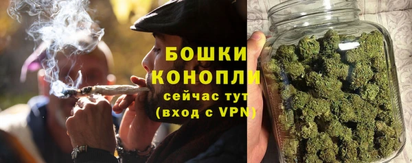 прущая мука Ельня