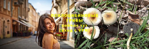 мяу мяу кристалл Елизово